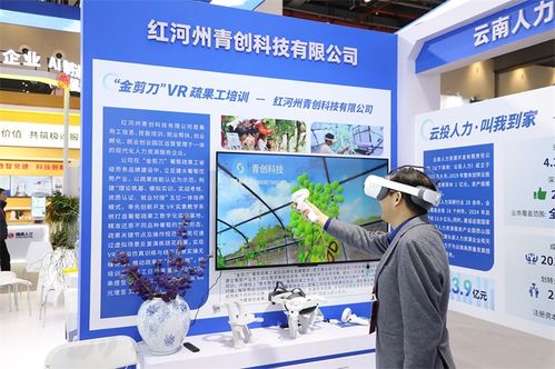 云南信息技術咨詢服務在第三屆全國人力資源服務業發展大會中展風采