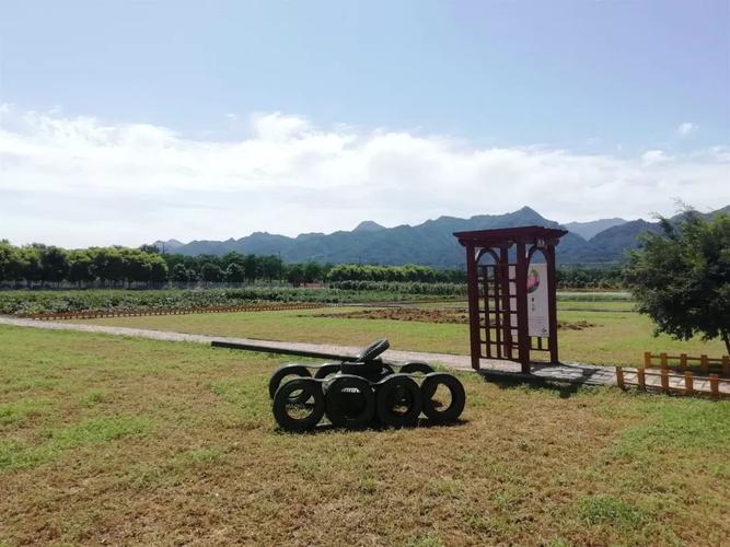 蹦床與真人CS 在騰空與對抗中重拾歡笑